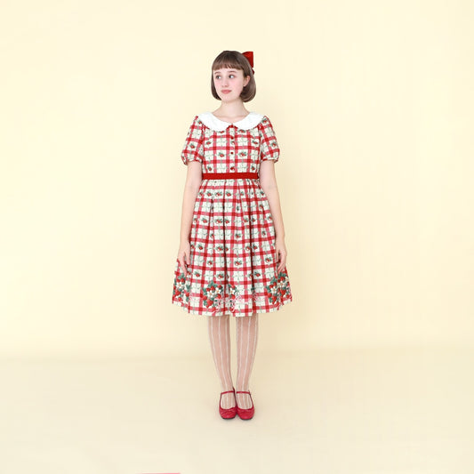 Strawberry Check Dress