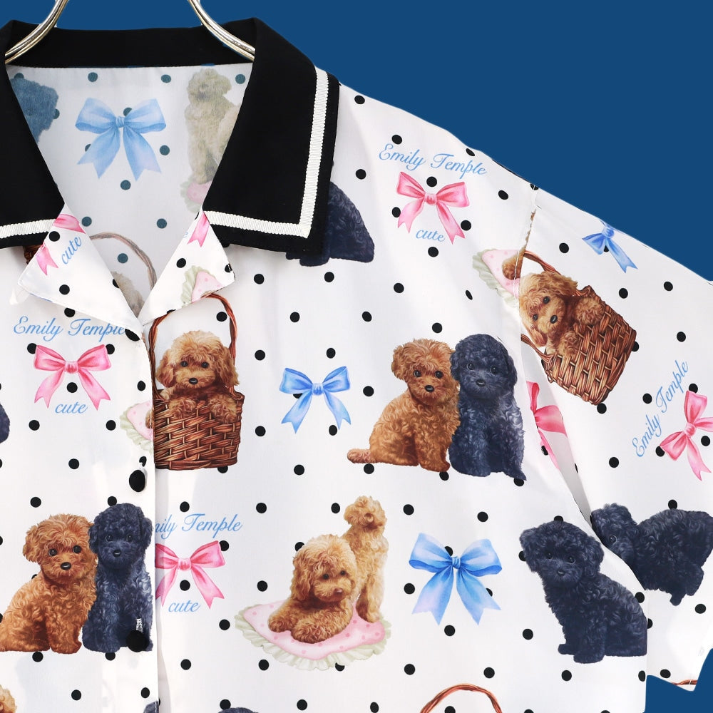 toy poodle big blouse