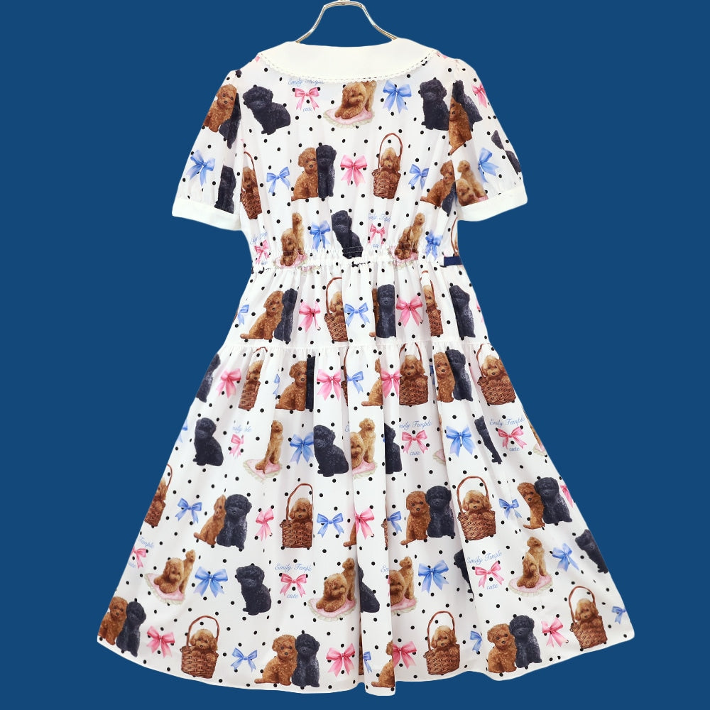 toy poodle dress