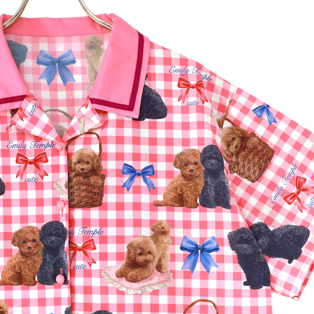 toy poodle big blouse