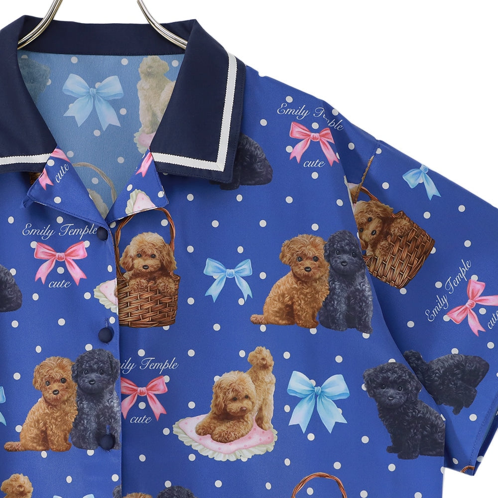 toy poodle big blouse