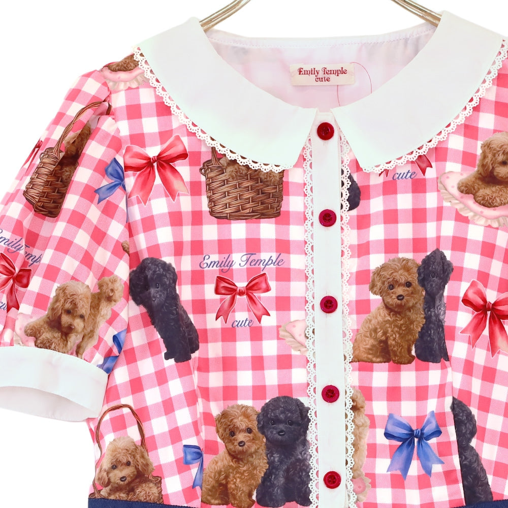 toy poodle dress