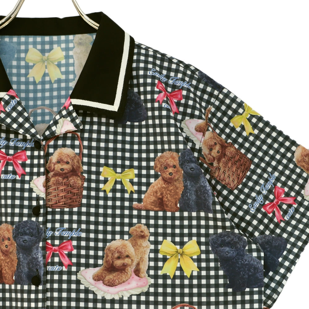 toy poodle big blouse