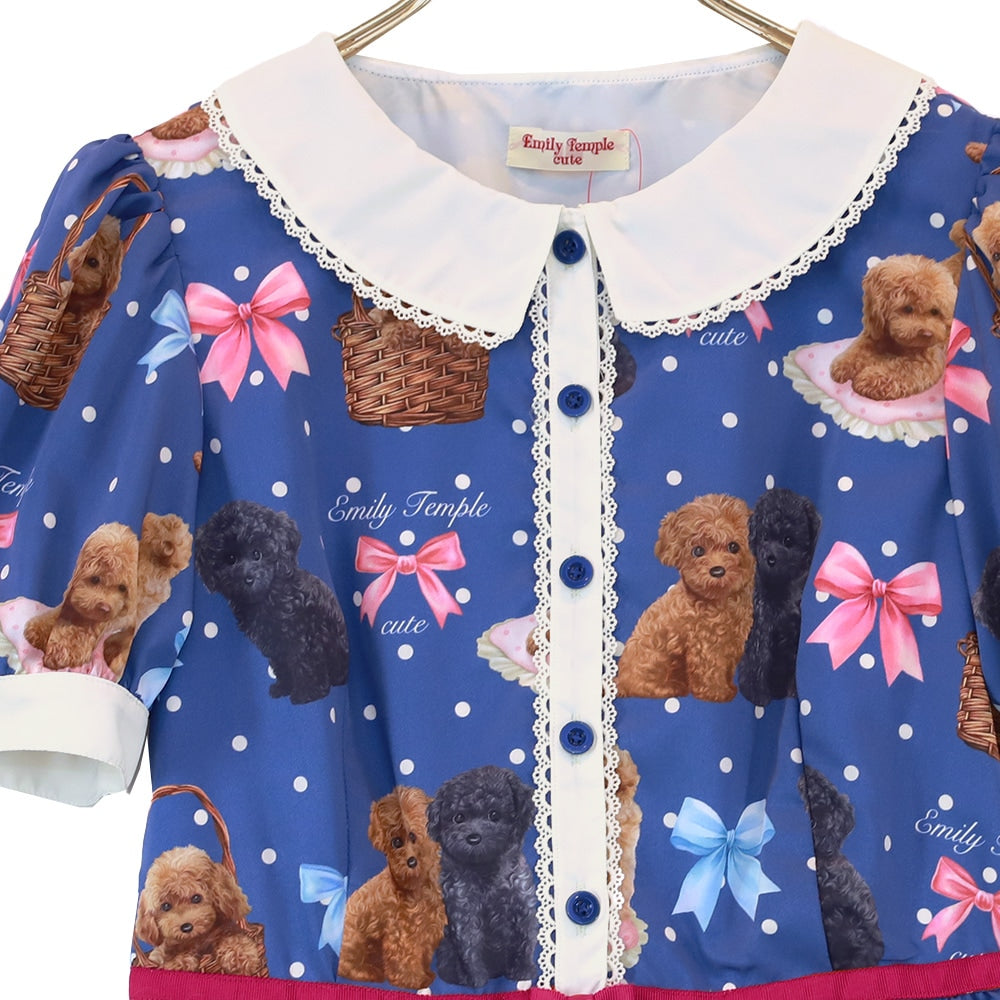 toy poodle dress