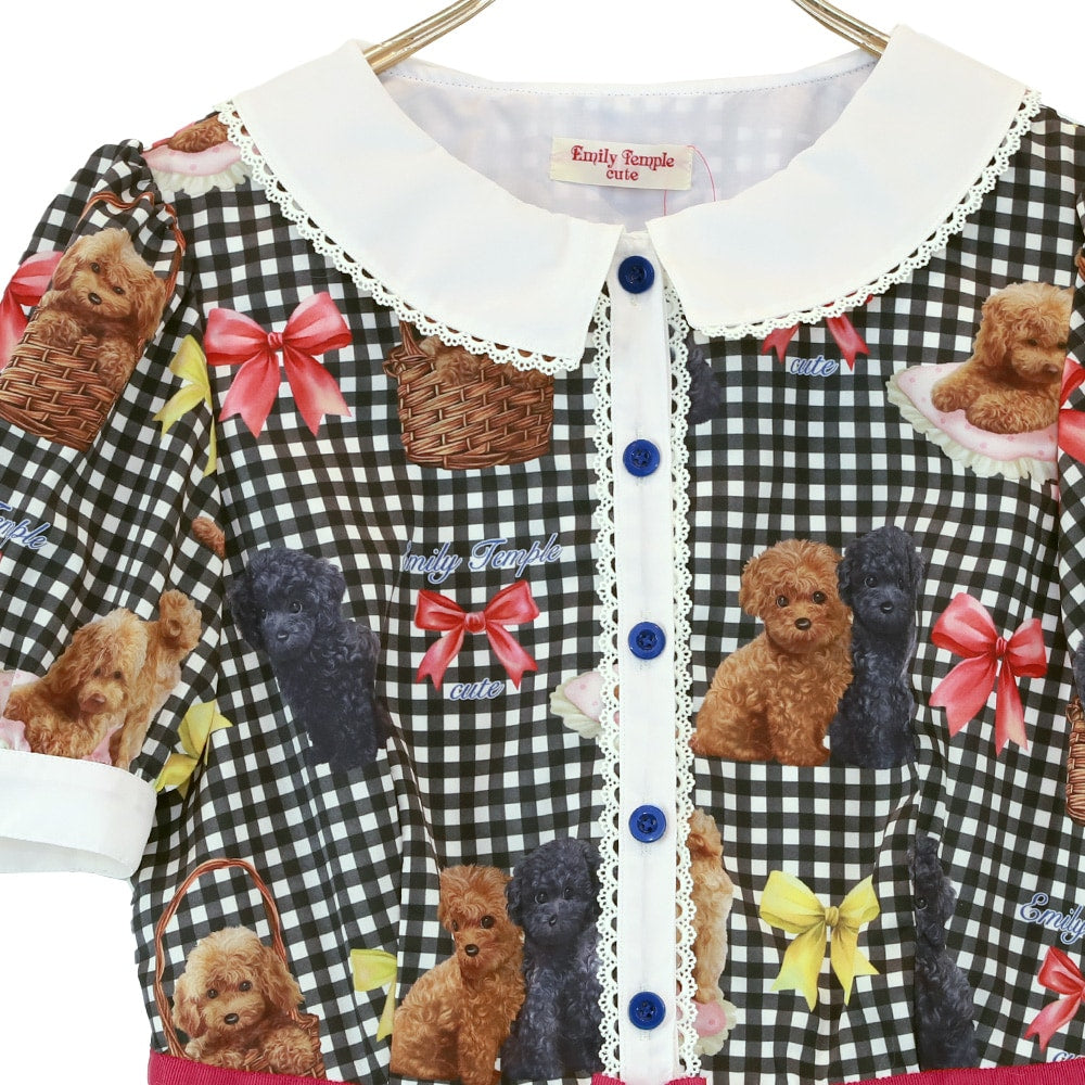 toy poodle dress