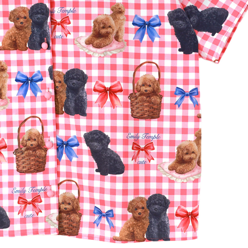 toy poodle big blouse