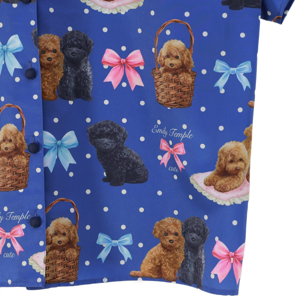 toy poodle big blouse