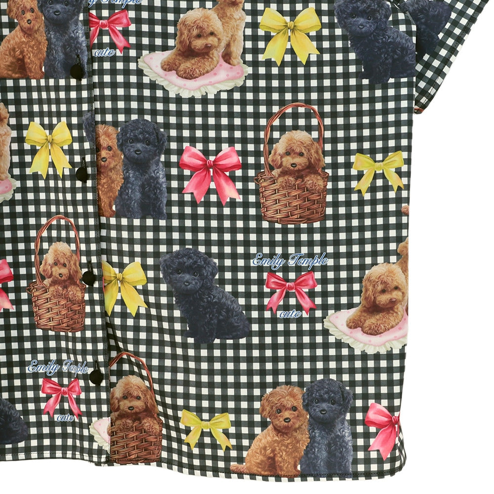 toy poodle big blouse