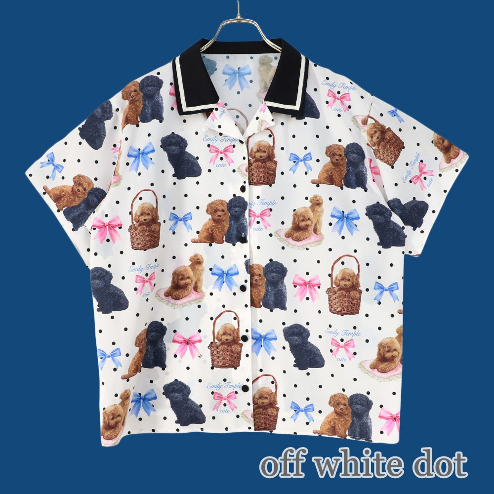 toy poodle big blouse