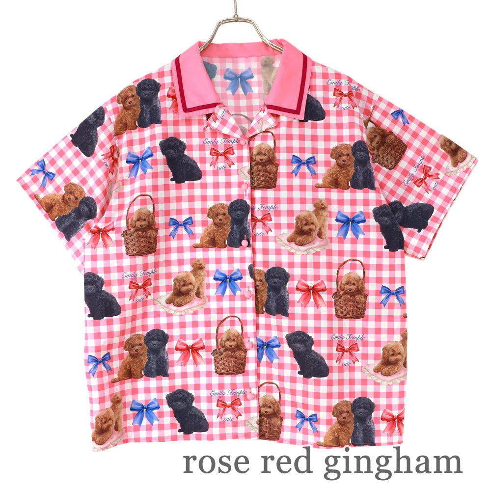 toy poodle big blouse