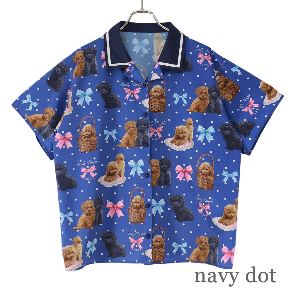 toy poodle big blouse