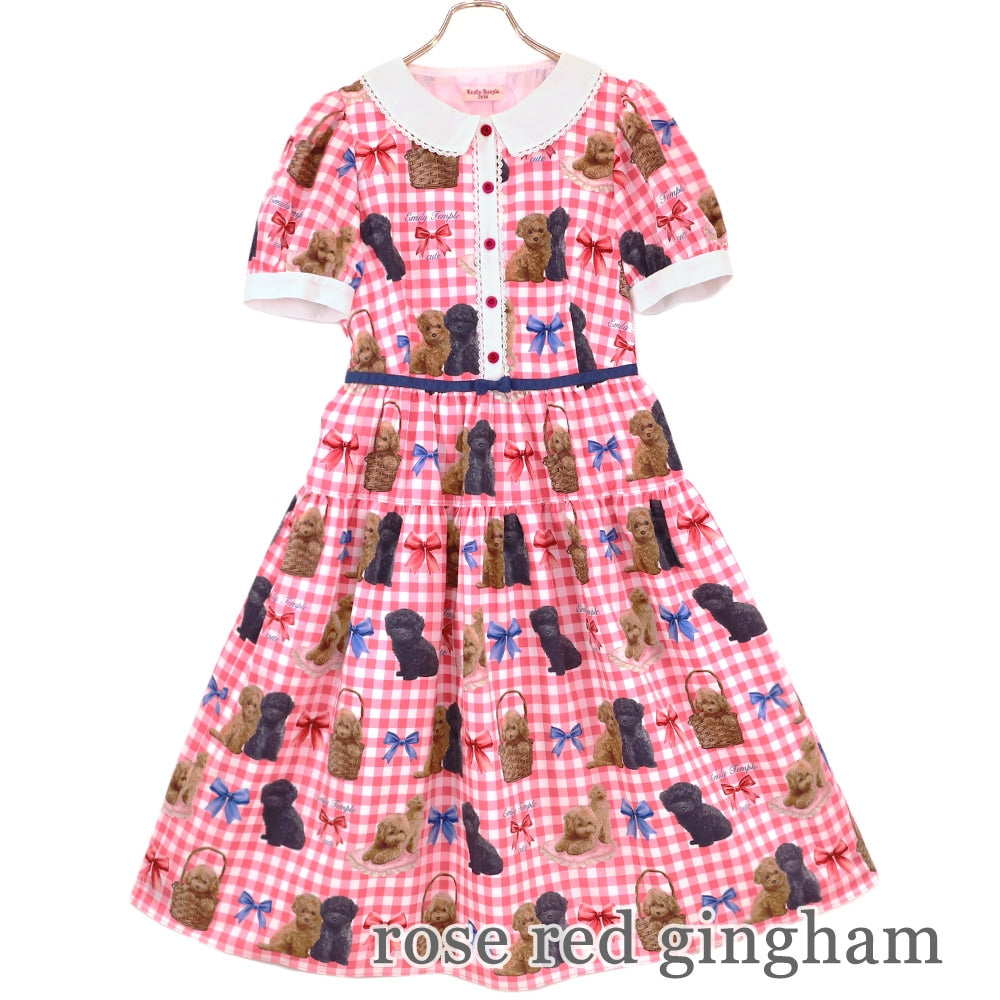 toy poodle dress