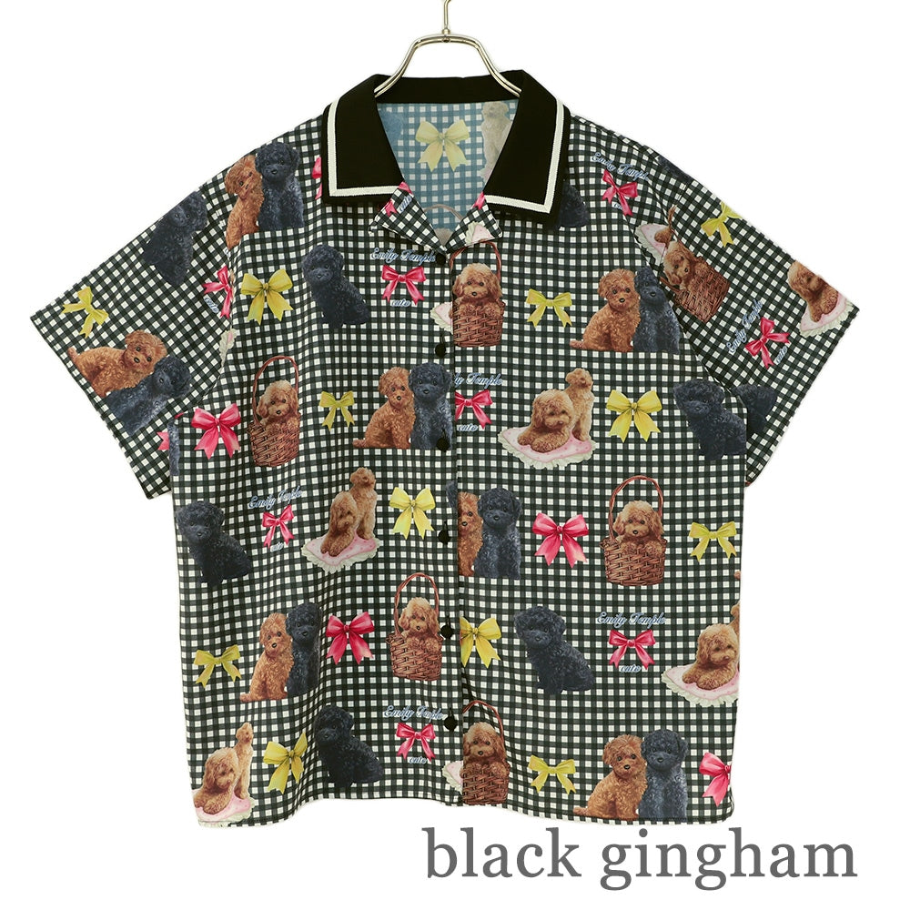 toy poodle big blouse