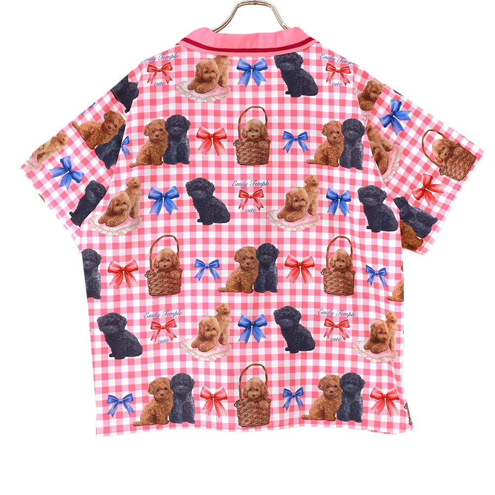 toy poodle big blouse