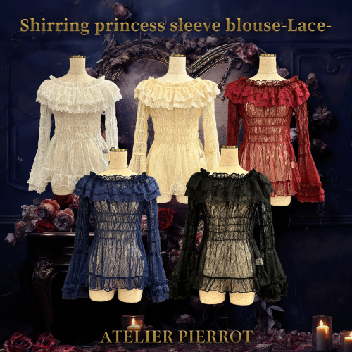 Shirring Princess Sleeve Blouse - Lace -